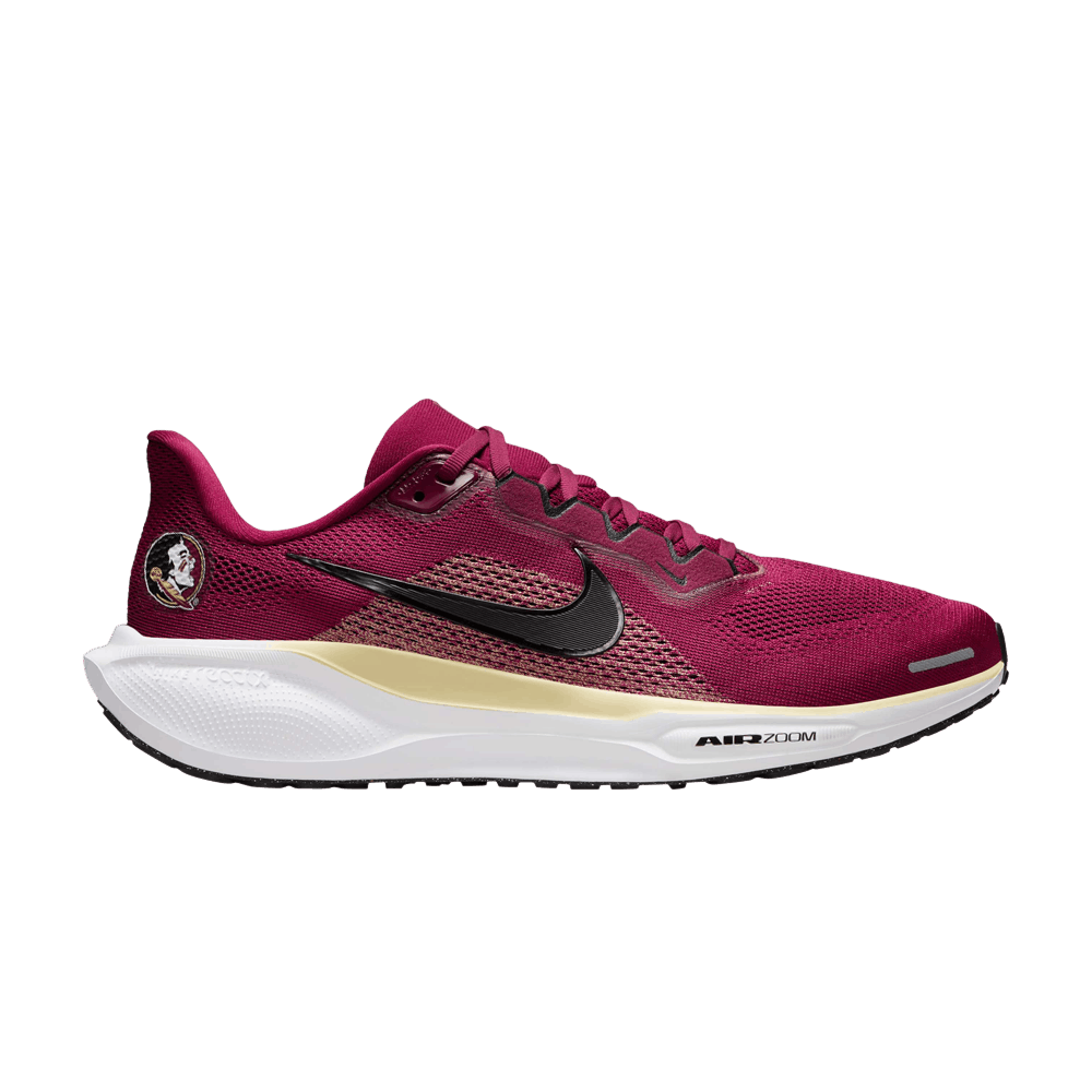 Кроссовки NCAA x Nike Air Zoom Pegasus 41 'Florida State'