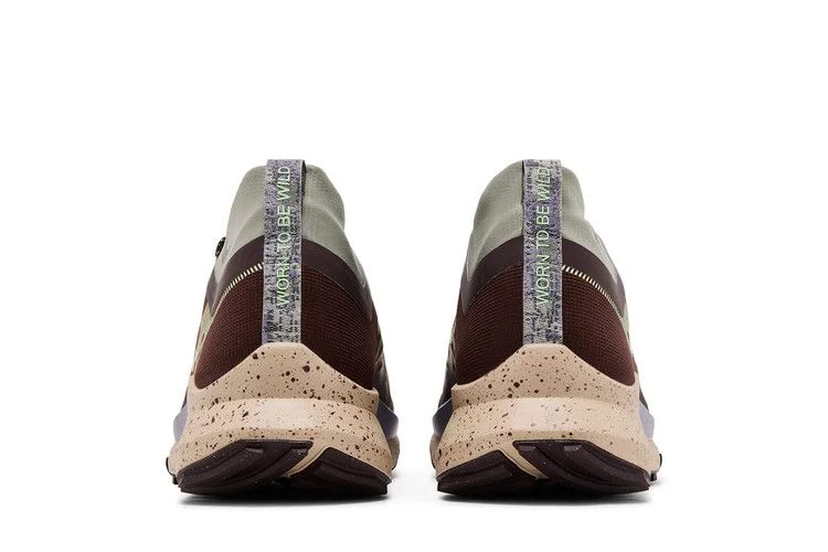 Кроссовки Nike React Pegasus Trail 4 GORE-TEX 'Earth Dark Stucco'