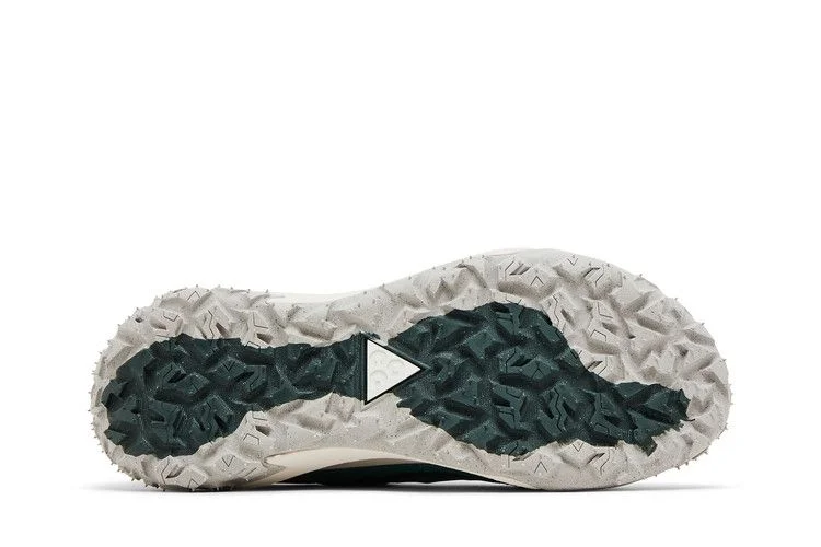 Кроссовки Nike ACG Mountain Fly Low 2 'Bicoastal'