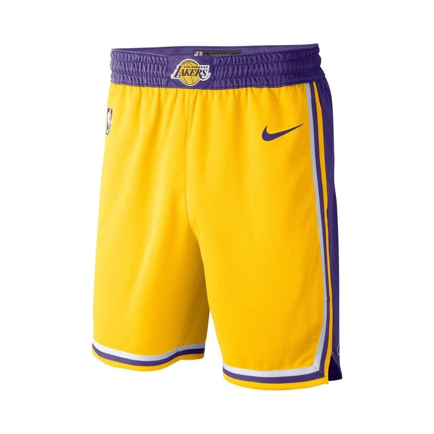 Спортивные шорты Nike Los Angeles Lakers 2024 Icon Edition Swingman NBA Shorts