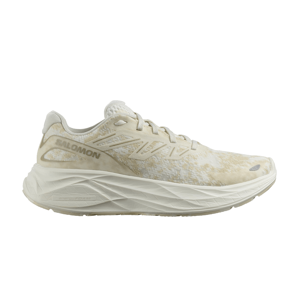 Кроссовки Salomon Wmns Aero Glide 2 'Vanilla Ice'
