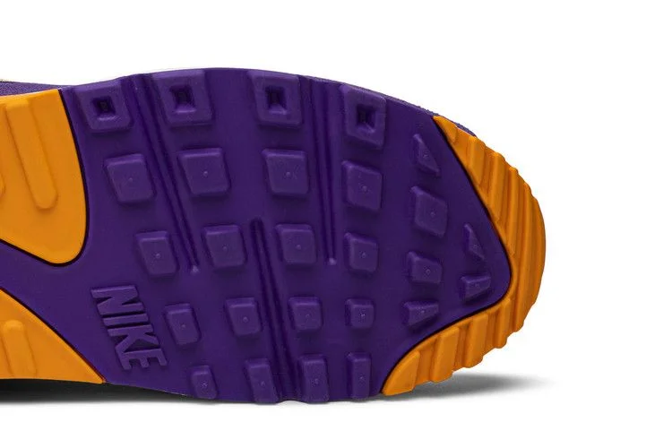Кроссовки Nike Air Max 90 'Viotech'