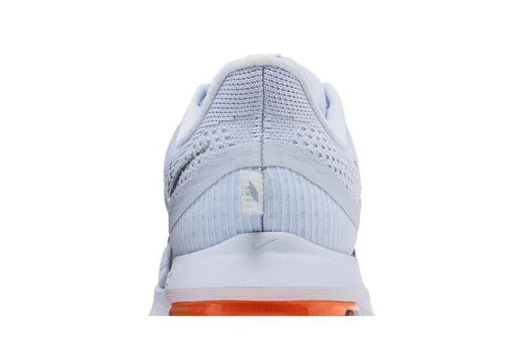 Кроссовки Nike Pegasus Premium 'Airscape'