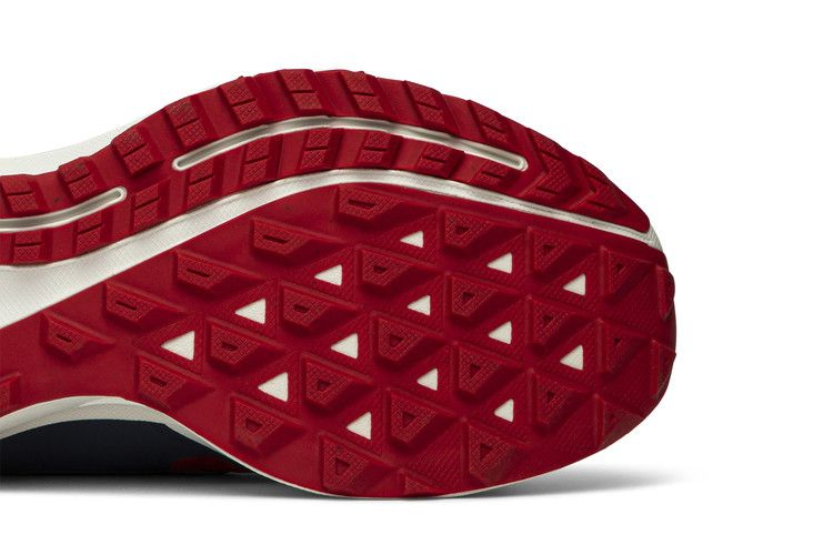 gyakusou-x-air-zoom-pegasus-36-trail-red-cd0383-600_04