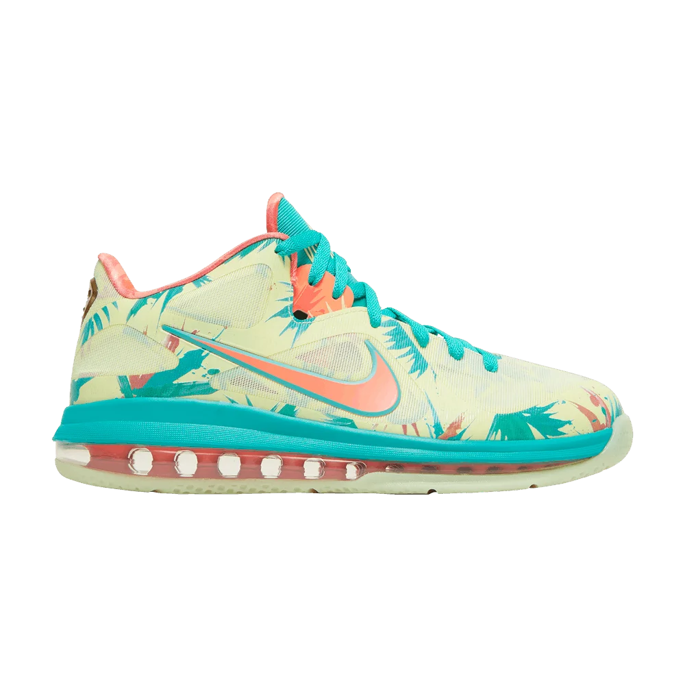 Krossovki-Nike-LeBron-9-Low-LeBronold-Palmer