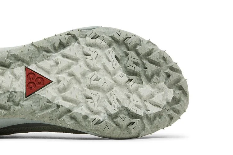 Кроссовки Nike ACG Mountain Fly 2 Low GORE-TEX 'Phantom Light Silver'