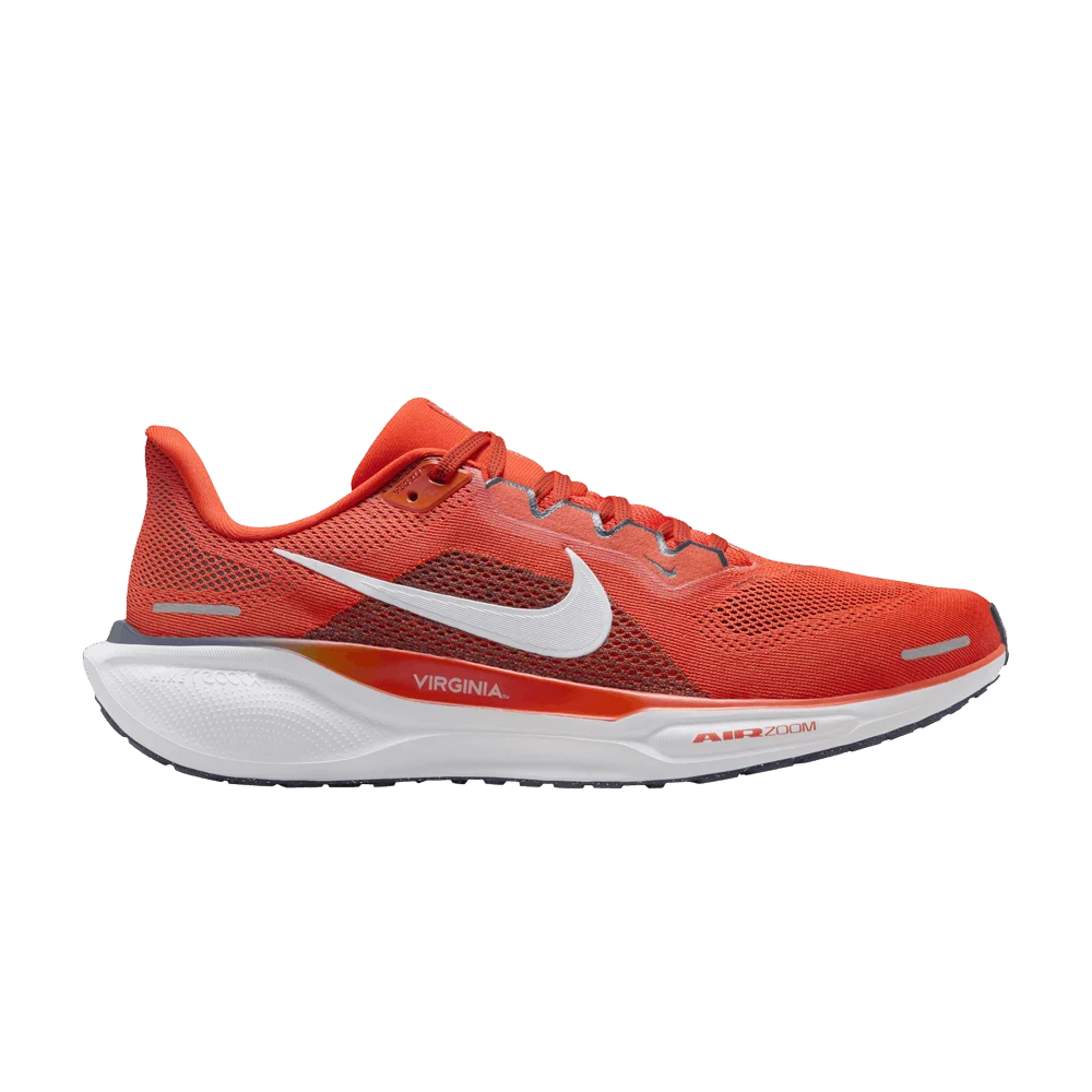 Кроссовки Nike Air Zoom Pegasus 41 'Virginia'
