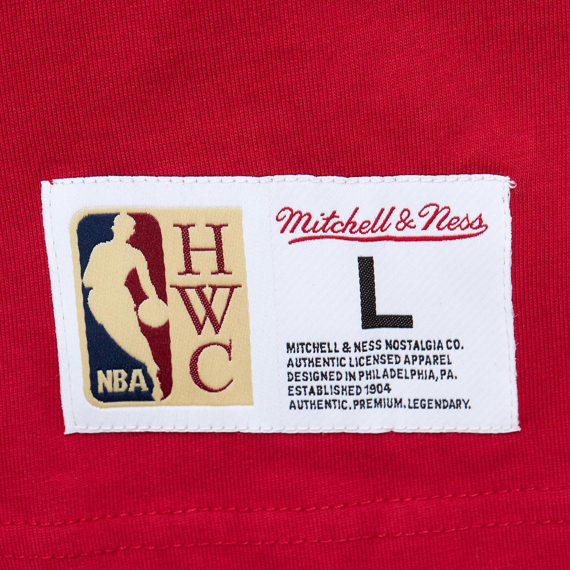 Футболка Mitchell & Ness Team OG 2.0 Premium SS Vintage Logo Atlanta Hawks T-Shirt