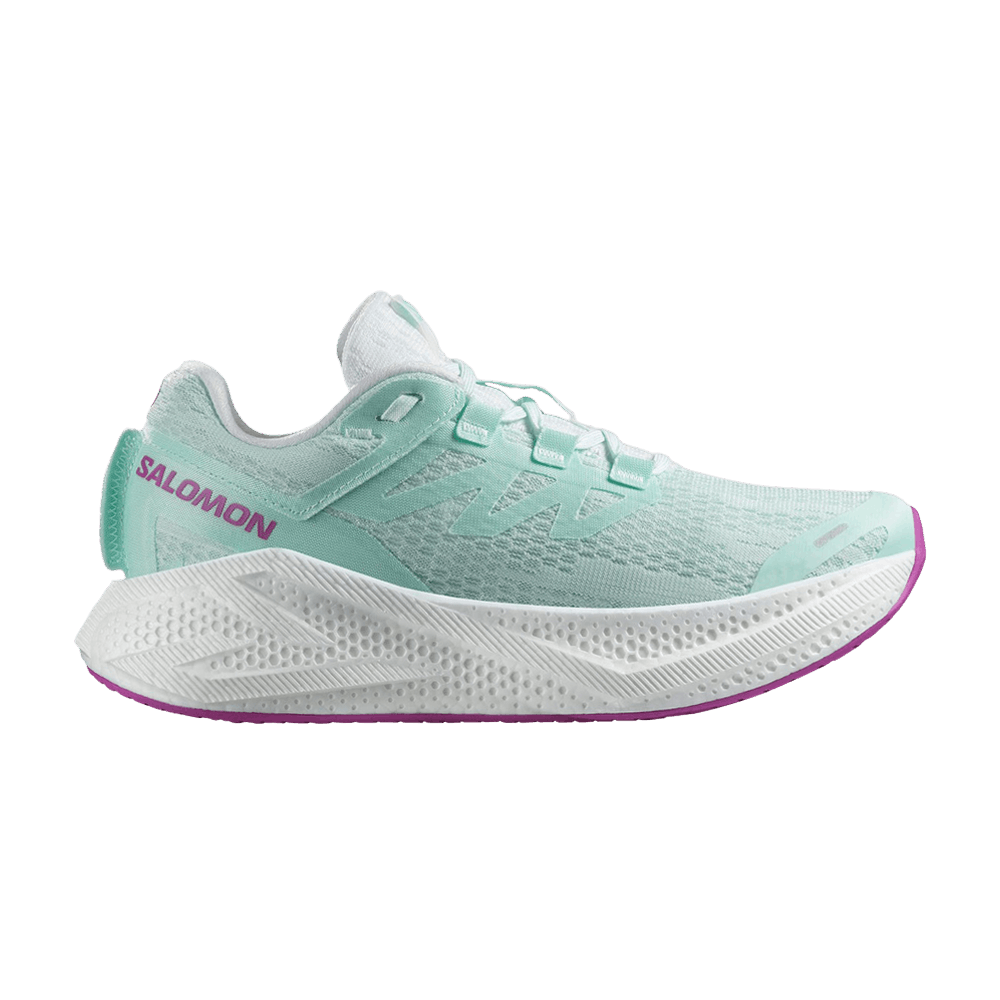 Кроссовки Salomon Wmns Aero Glide 3 'Bay'