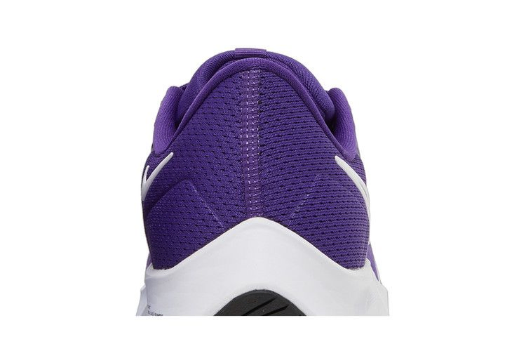 Кроссовки Nike Air Zoom Pegasus 38 TB 'Court Purple'