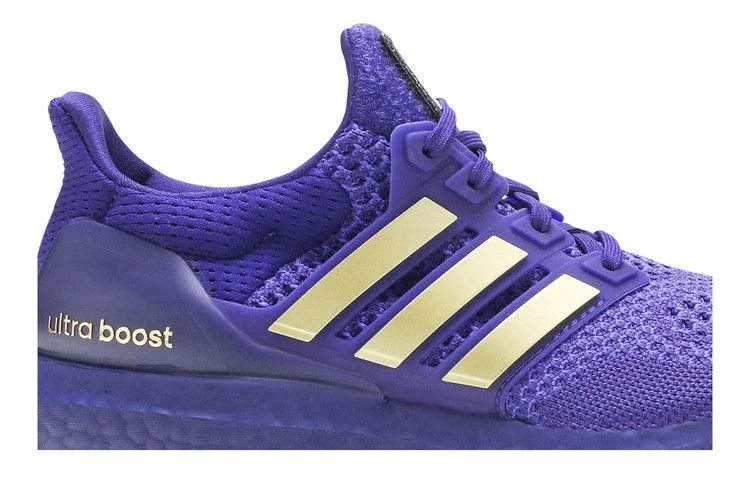 Krossovki-Adidas-UltraBoost-1.0-NCAA-Pack-Washington-1