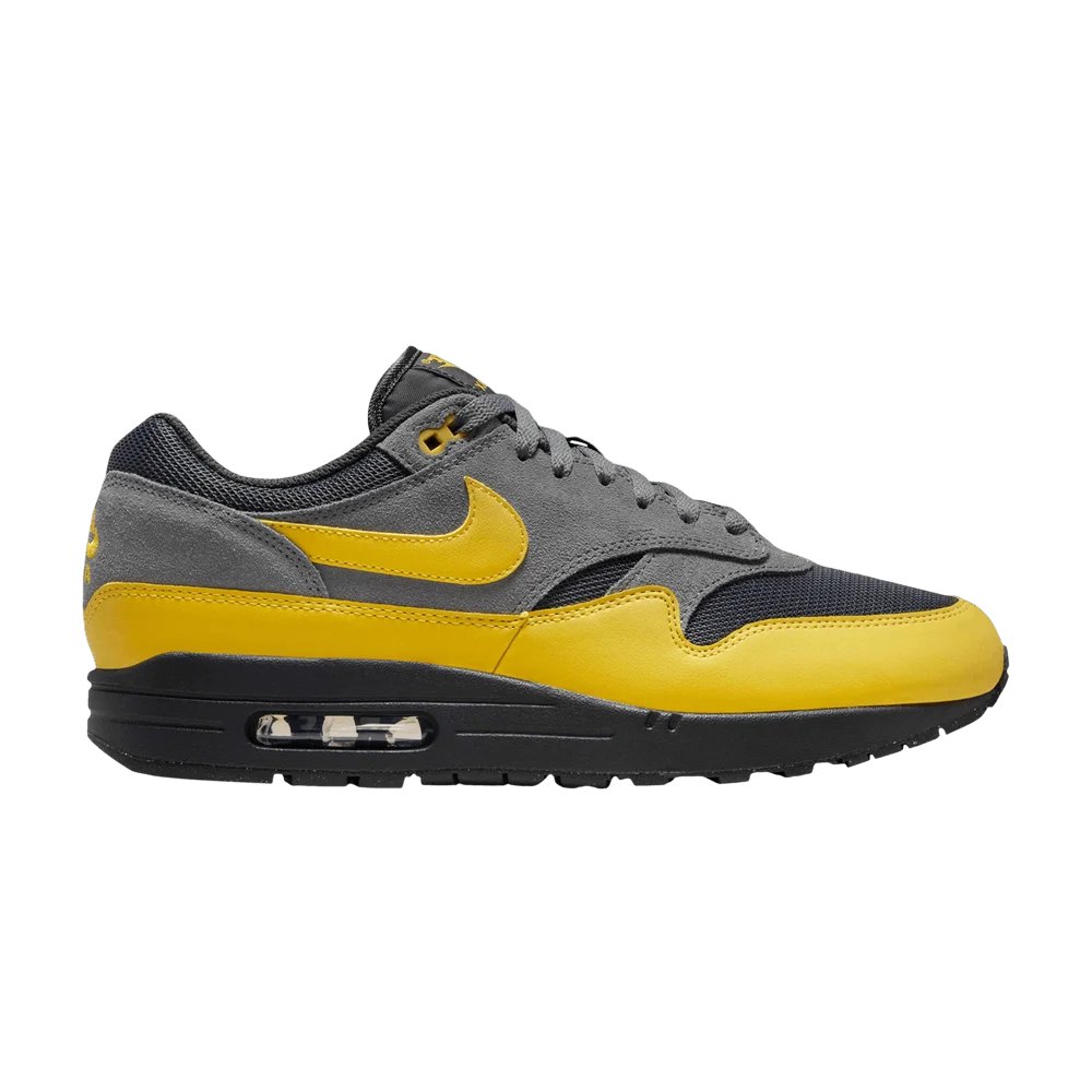 Кроссовки Nike Air Max 1 Essential 'Batman 2.0'