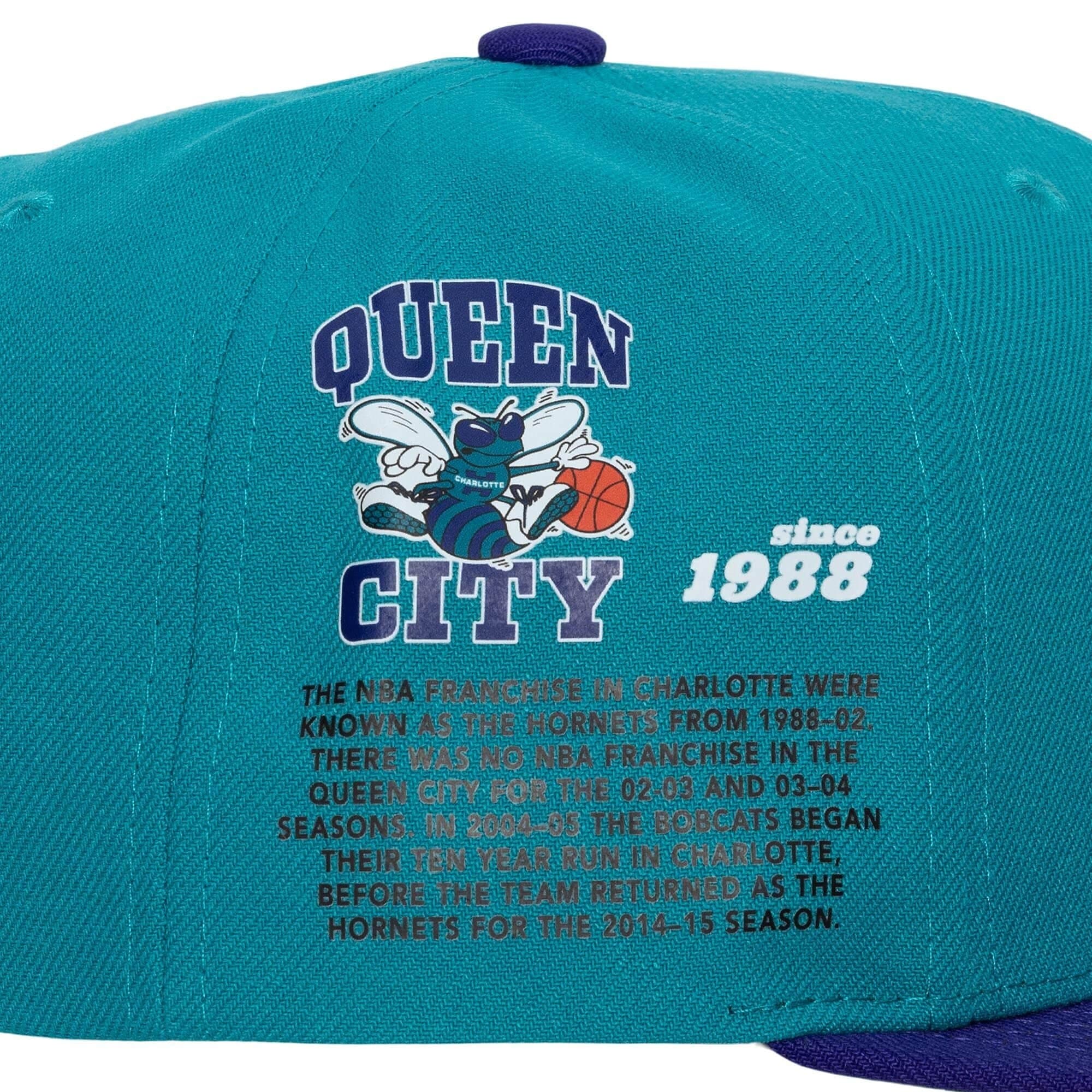 Бейсболка Mitchell & Ness Team Origins Snapback HWC Charlotte Hornets Hat