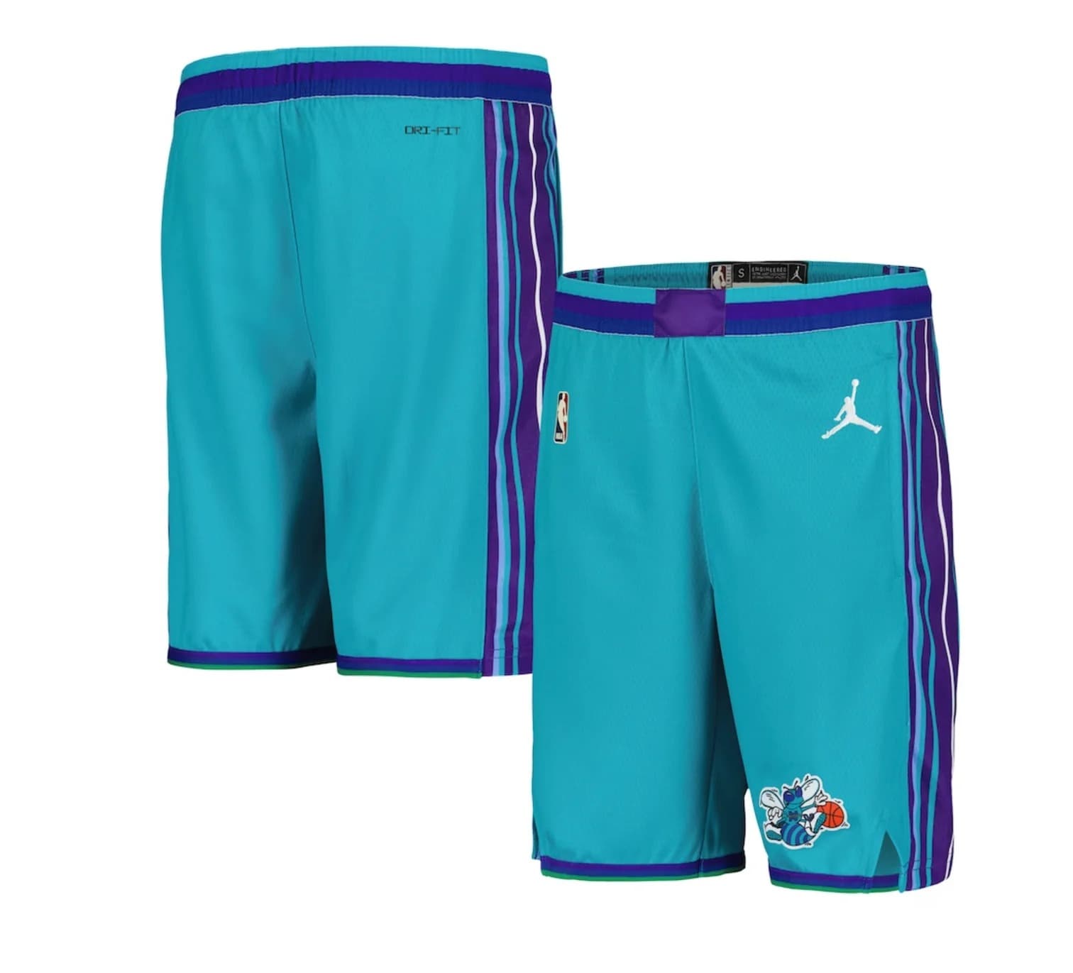Спортивные шорты Nike Charlotte Hornets 2024 Classic Edition Swingman Youth NBA Shorts