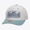 Mitchell-Ness-White-North-Carolina-Tar-Heels-Vault-Collection-Tail-Sweep-Pro-Snapback-Hat-100x100