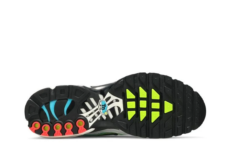 Кроссовки Nike Air Max Plus 'Worldwide Pack'