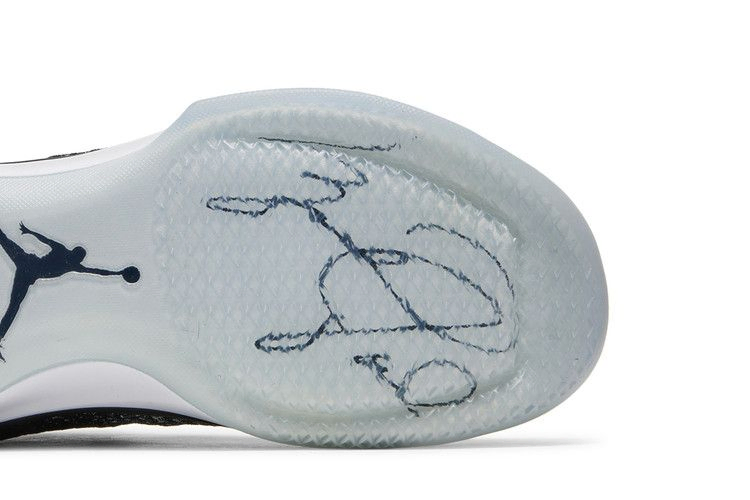 air-jordan-31-fine-print-845037-003_04