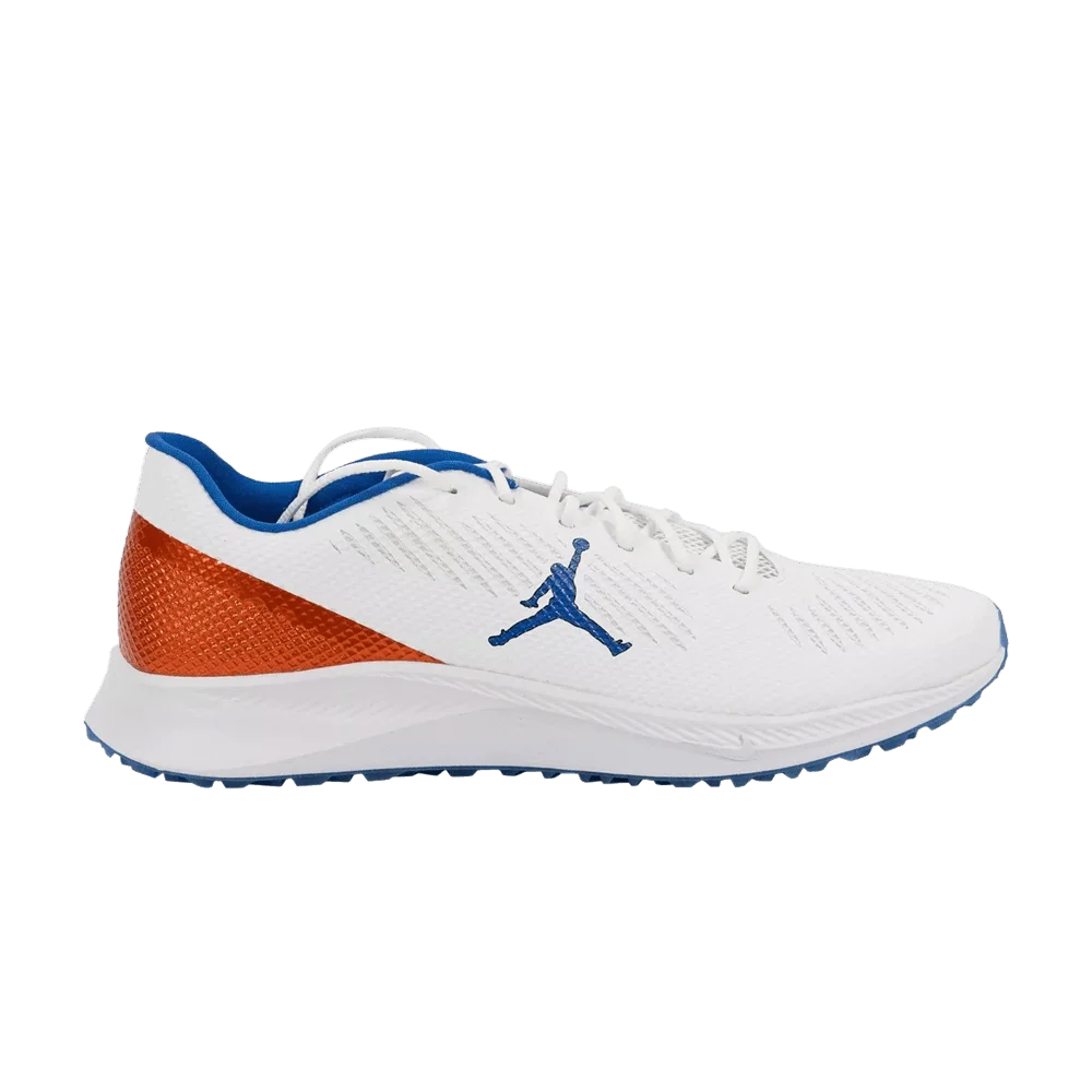 Krossovki-Air-Jordan-Vapor-Edge-TF-SMU-Florida-Gators-PE
