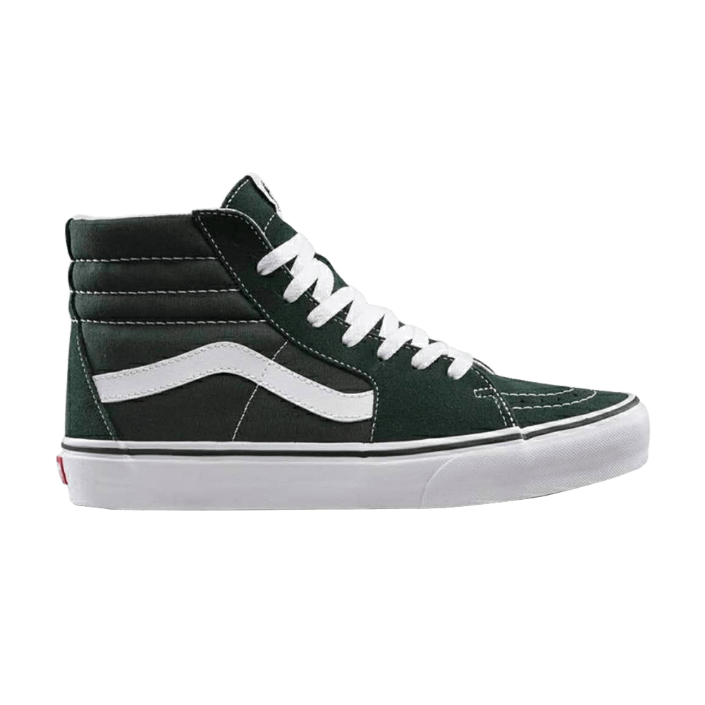 sk8-hi-scarab-vn0a38geqsu