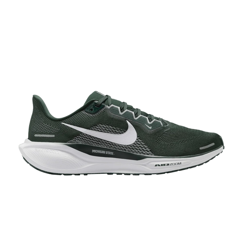 Krossovki-Nike-Air-Zoom-Pegasus-41-Michigan-State-2024