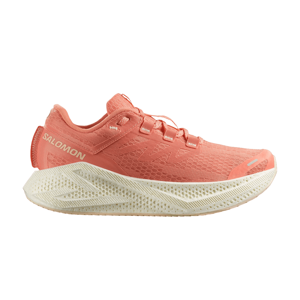 Кроссовки Salomon Wmns Aero Glide 3 'Fusion Coral'