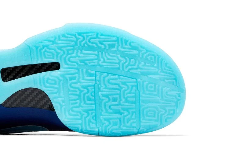 Кроссовки Nike Zoom Kobe 5 Protro 'X-Ray'