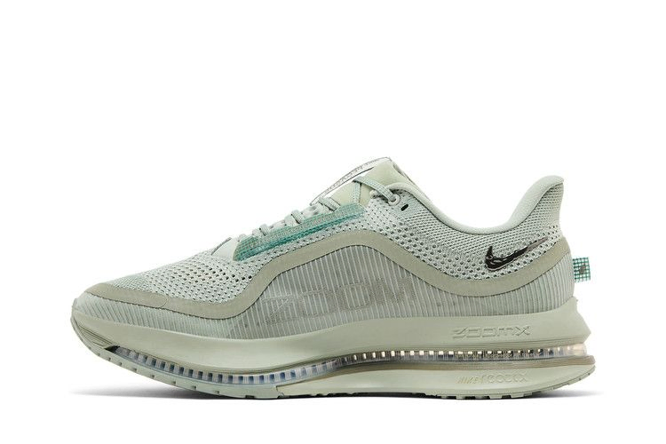 Кроссовки Nike Pegasus Premium 'Jade Horizon'