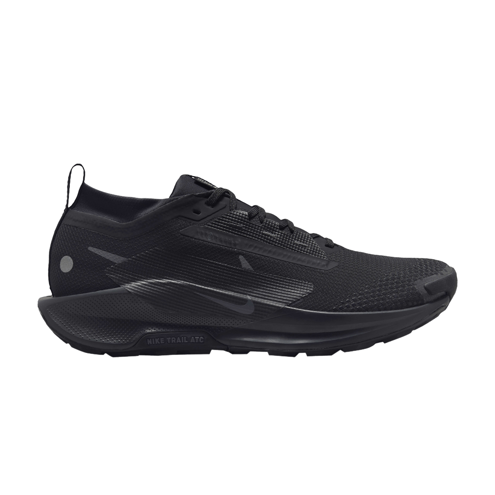 Кроссовки Nike Pegasus Trail 5 GORE-TEX 'Black Anthracite'