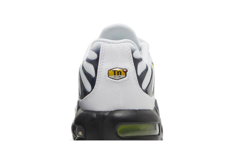 Кроссовки Nike Air Max Plus GS 'Layered Swoosh'