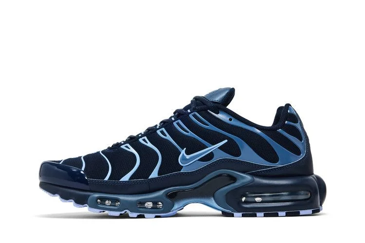 Krossovki-Nike-Air-Max-Plus-Obsidian-Aluminum-2