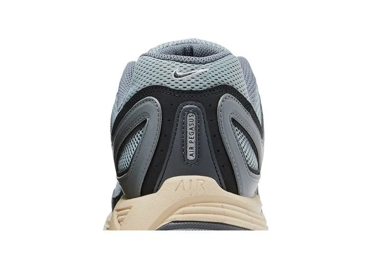 Krossovki-Nike-Air-Pegasus-2K5-Light-Pumice-6