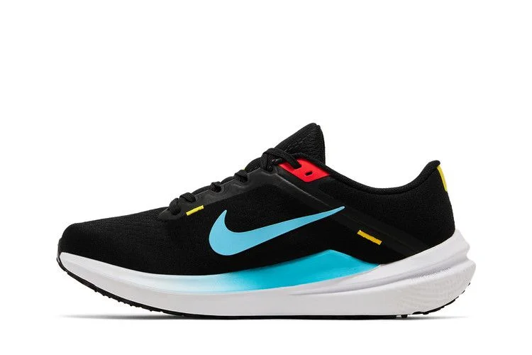 Кроссовки Nike Wmns Winflo 10 'Black Baltic Blue'