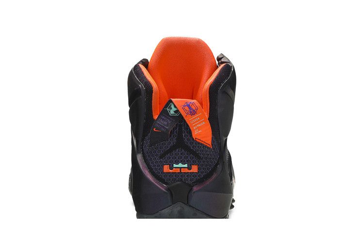 lebron-12-instinct-684593-583_06