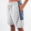 Mitchell-Ness-Georgetown-Hoyas-1995-96-Hardwood-Classics-Throwback-Swingman-NCAA-White-Shorts-100x100