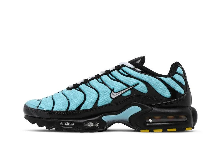 Кроссовки Nike Air Max Plus 'Aqua Silver'