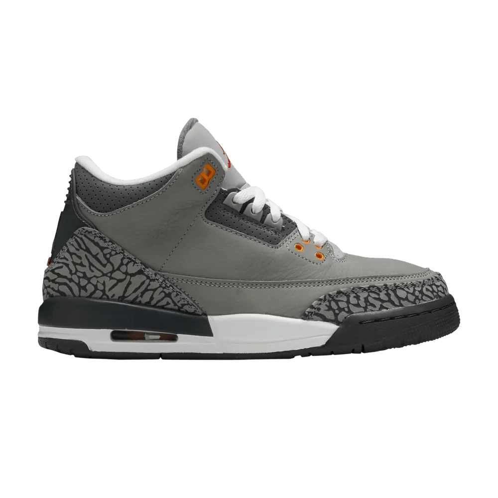 Krossovki-Air-Jordan-3-Retro-GS-Cool-Grey-2021