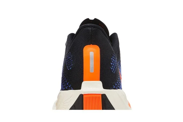 Кроссовки Nike Pegasus Plus 'Black Blue Crimson'