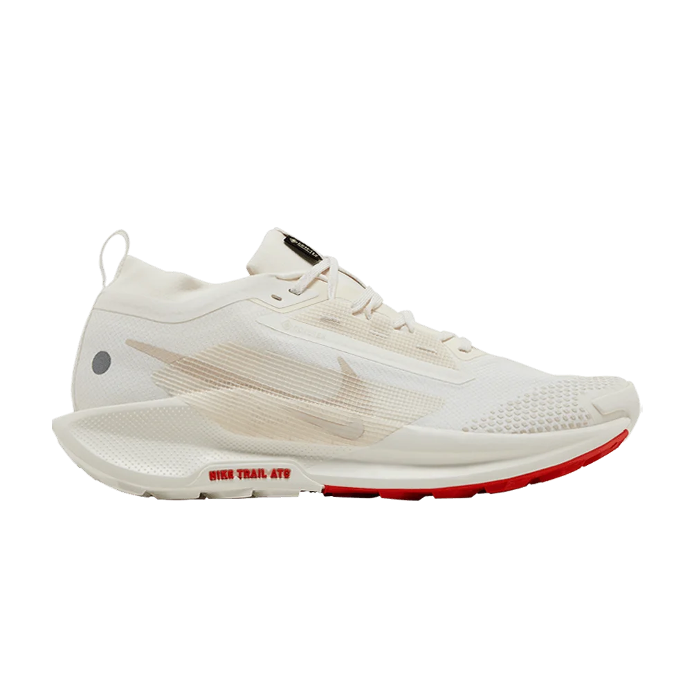 Кроссовки Nike Pegasus Trail 5 GORE-TEX 'Sail Picante Red'