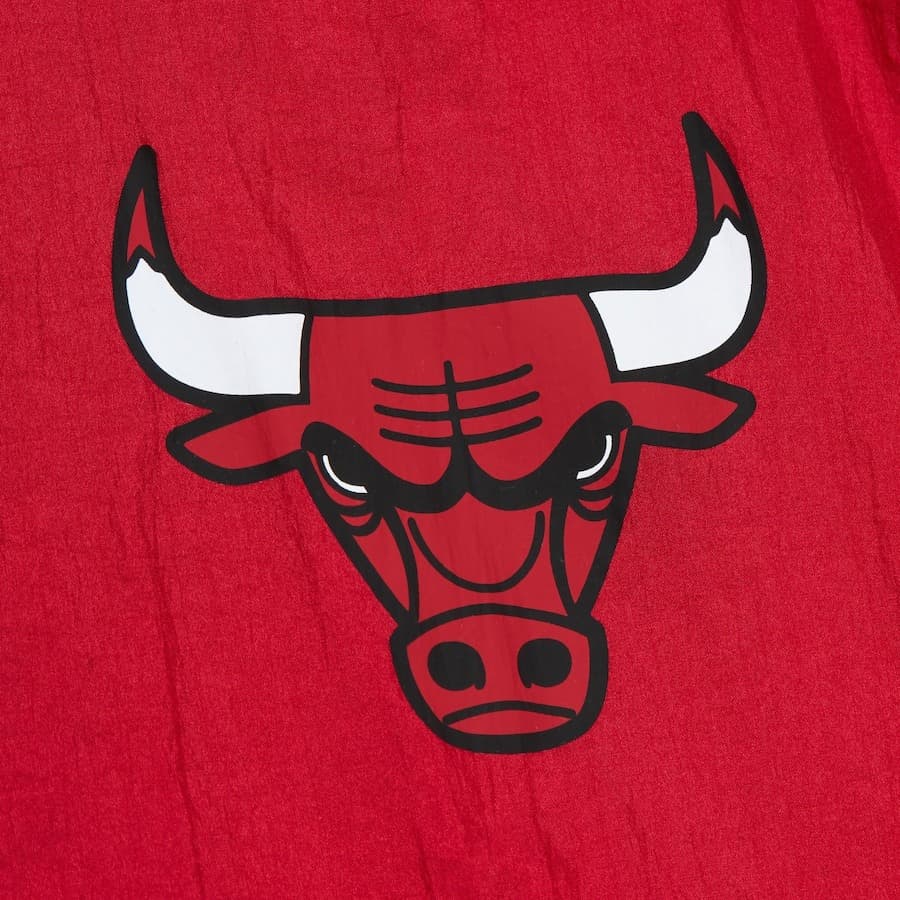 Анорак Mitchell & Ness Red Chicago Bulls Team OG 2.0 Vintage Logo Anorak Quarter-Zip Hoodie Windbreaker Jacket