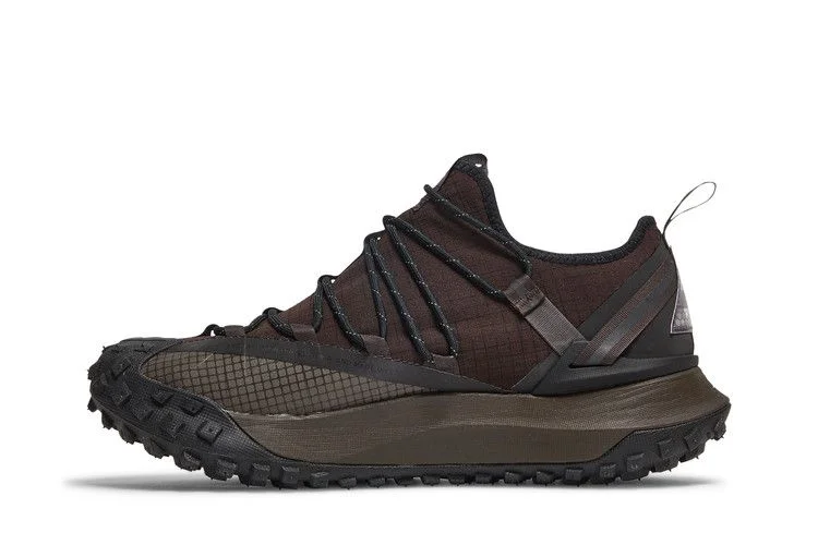 Кроссовки Nike ACG Mountain Fly Low 'Brown Basalt'