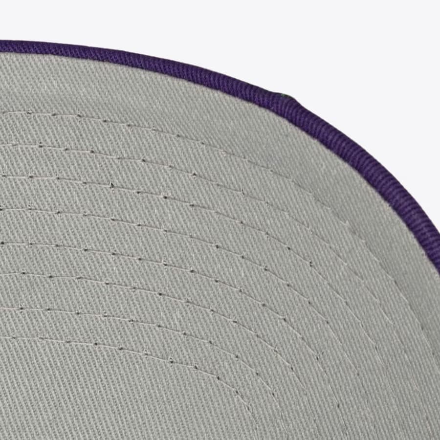 Бейсболка Mitchell & Ness Purple Milwaukee Bucks Polka Polka Pro Adjustable Hat