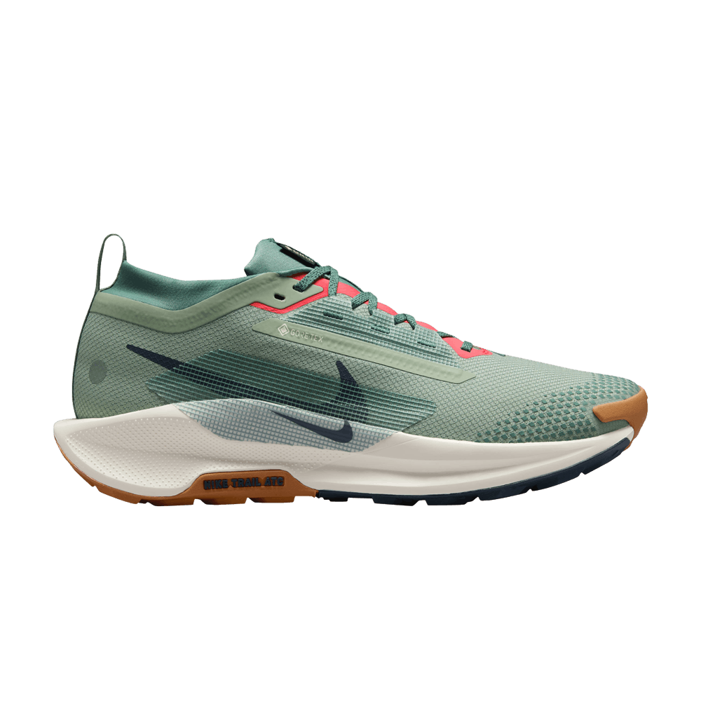 Кроссовки Nike Pegasus Trail 5 GORE-TEX 'Jade Horizon'