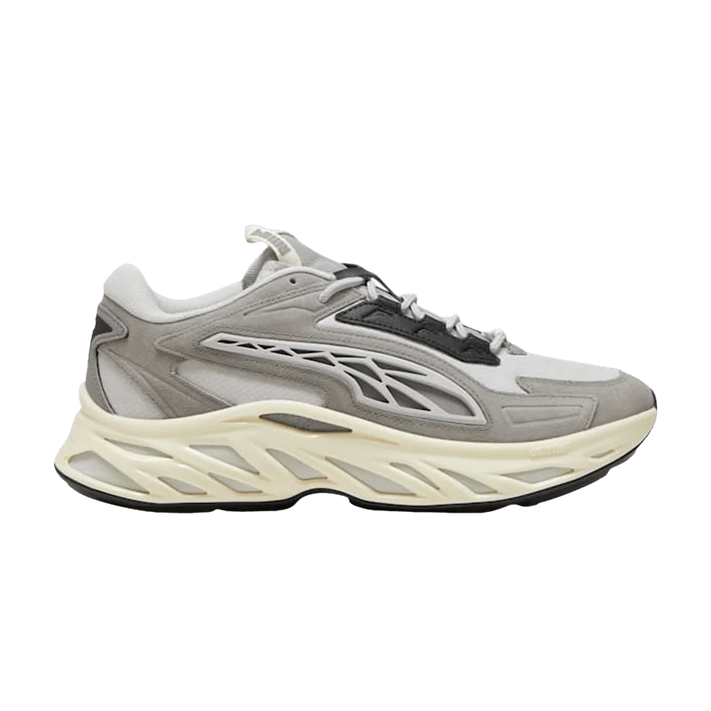 Krossovki-Puma-Exotek-Nitro-Earthy-Cool-Light-Gray-Stormy-Slate