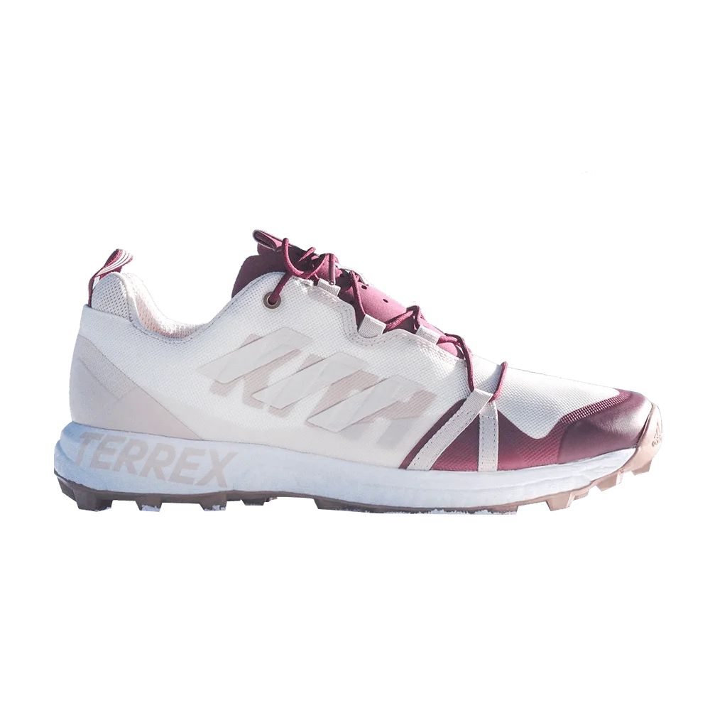 Krossovki-Kith-x-adidas-Terrex-Skychaser-Intelligence
