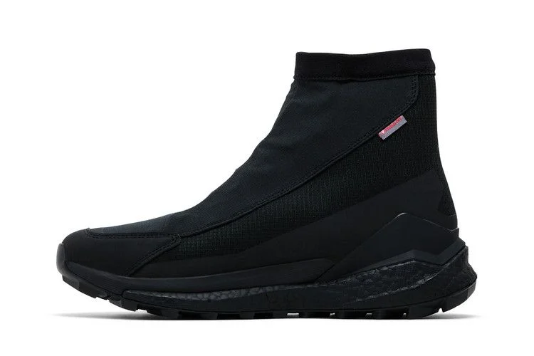 Кроссовки adidas Terrex Free Hiker 2 Cold.RDY GORE-TEX 'Black Grey'