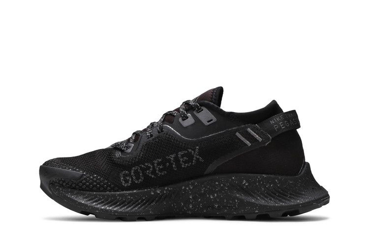 Кроссовки Nike Wmns Pegasus Trail 2 Gore-Tex 'Black Metallic Dark Grey'