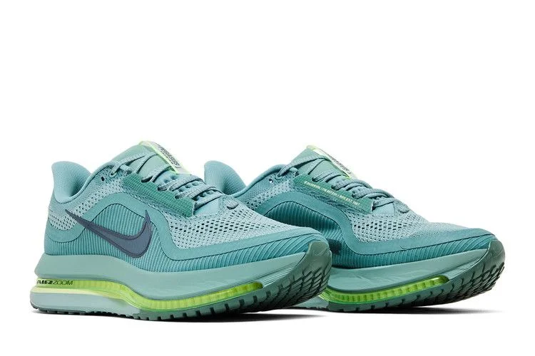 Krossovki-Nike-Pegasus-Premium-Cannon-7