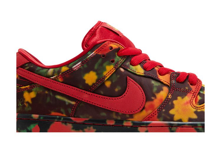 Кроссовки The Wizard of Oz x Nike Dunk Low SB 'Poppy Field'