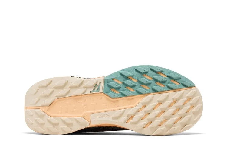 Кроссовки Nike Wmns Pegasus Trail 5 GORE-TEX 'Mink Brown Orange Chalk'