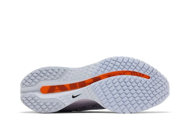 Кроссовки Nike Pegasus Premium 'Airscape'